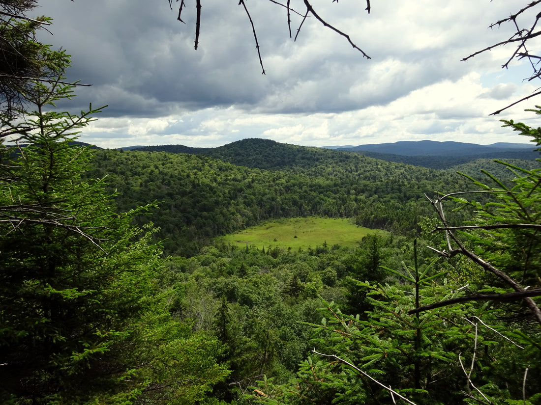 Climbing the 600 Highest Peaks in the Adirondacks