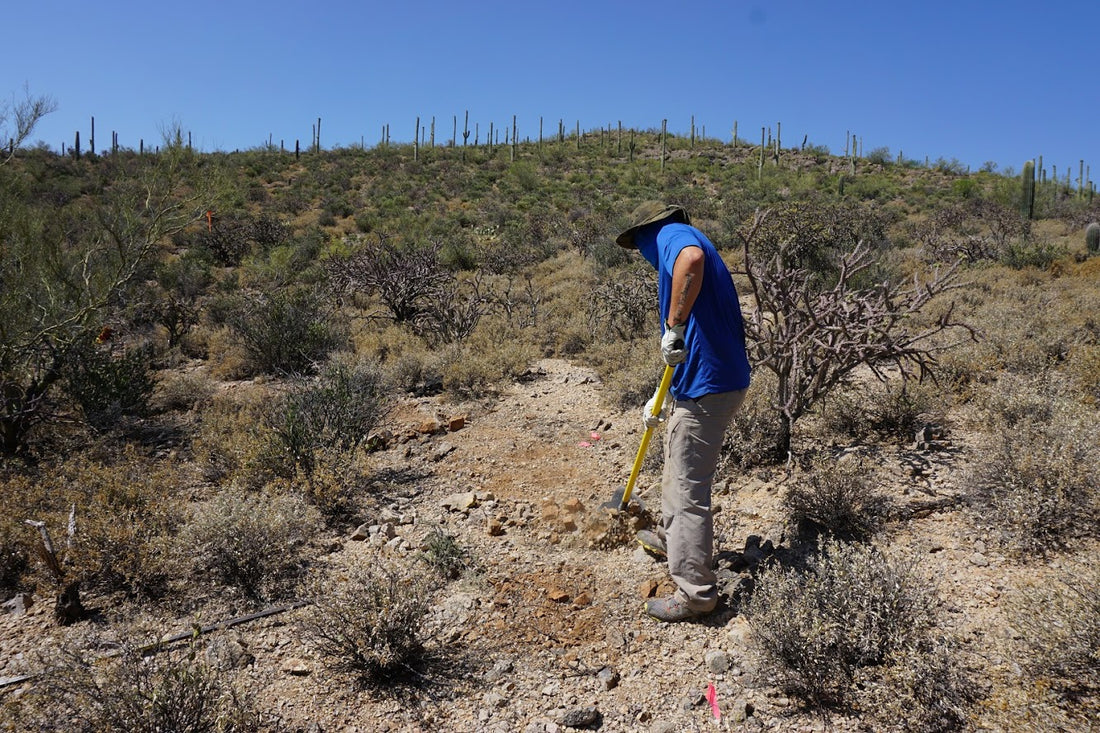 Where Do Trails Come From? - Part 2: Trail Building and Maintenance