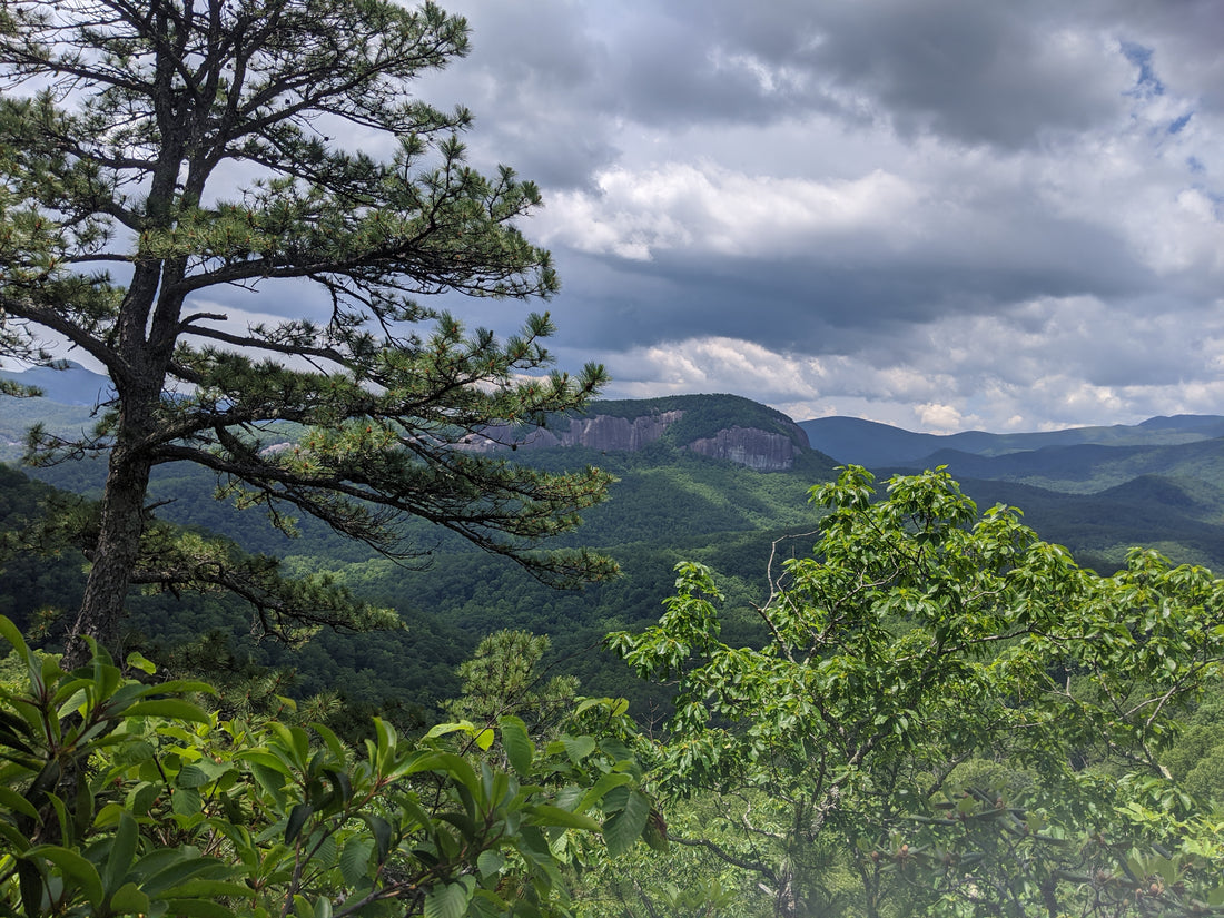 Taking on the Pisgah 400 Hiking Challenge to Stay Sane During COVID-19