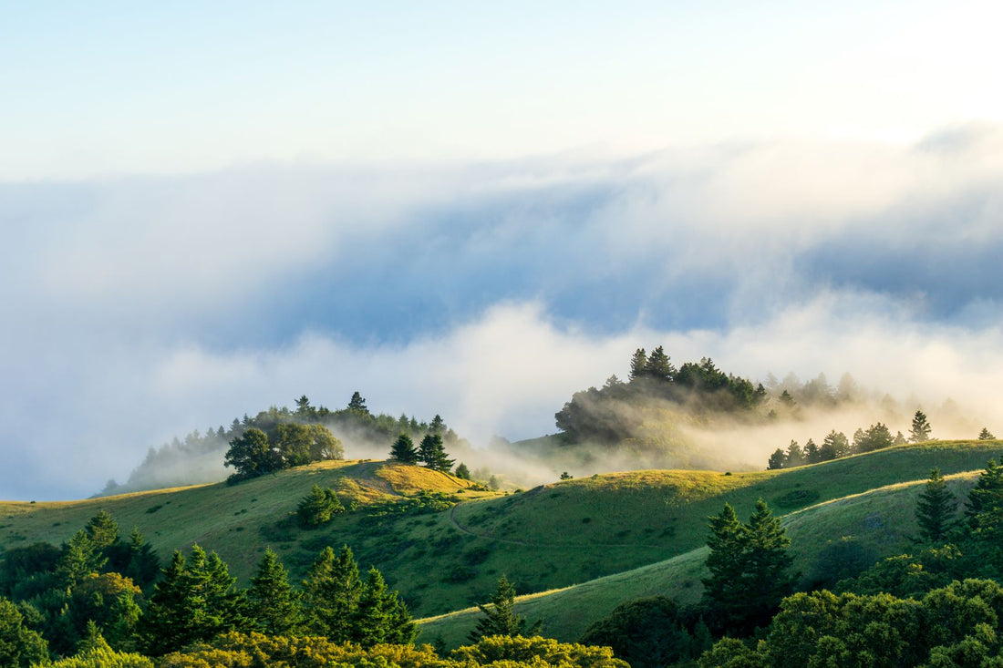 Hiking Into 2021 With the NorCal Six Pack of Peaks Challenge