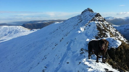 Great Hikes in the United Kingdom